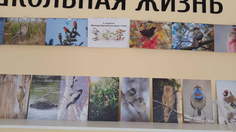 1 апреля Международный день птиц.