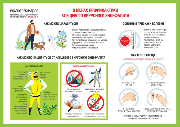 Памятка: Осторожно, клещи!.